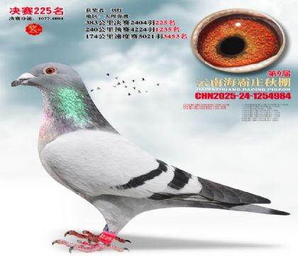 ����ׯ����225��