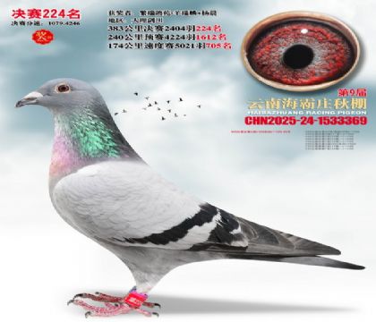 ����ׯ����224��