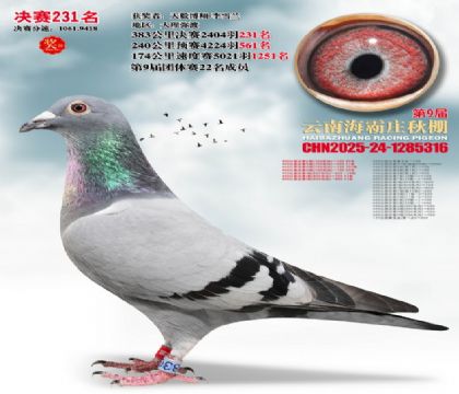 ����ׯ����231��