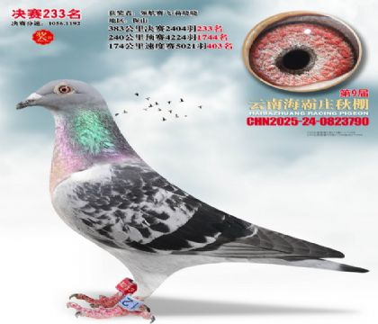 ����ׯ����233��