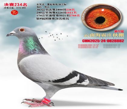 ����ׯ����234��