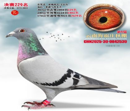 ����ׯ����229��