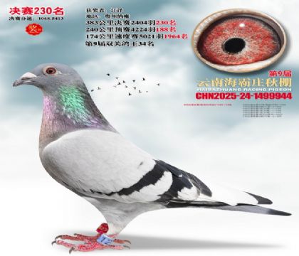 ����ׯ����230��