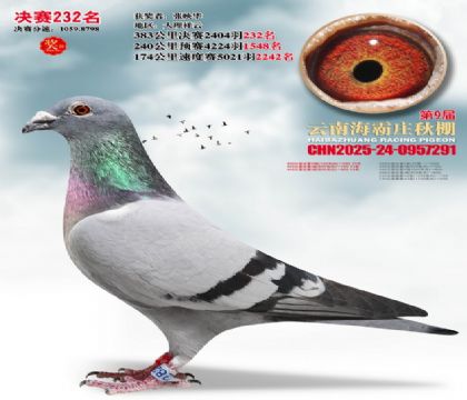 ����ׯ����232��