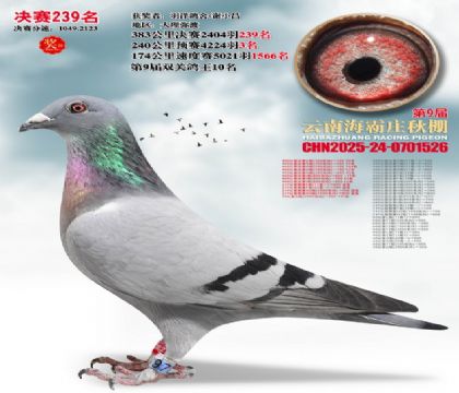 ����ׯ����239��