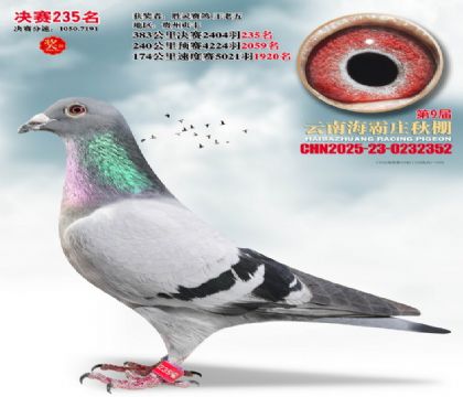 ����ׯ����235��