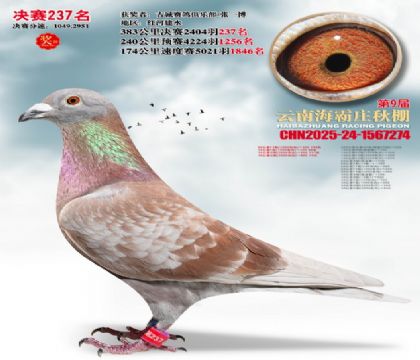 ����ׯ����237��