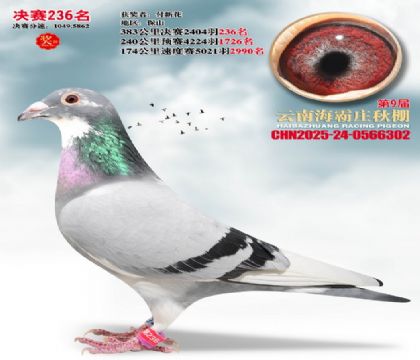 ����ׯ����236��