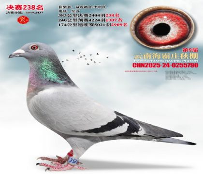 ����ׯ����238��