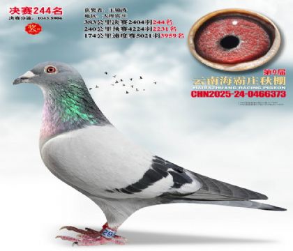 ����ׯ����244��