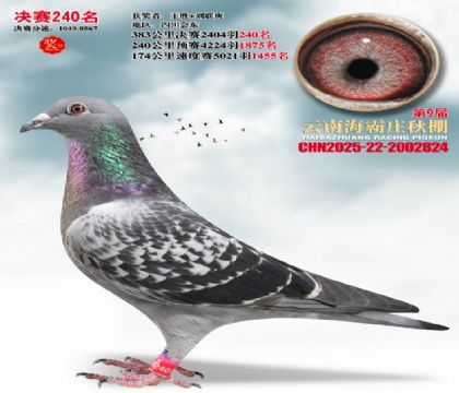 ����ׯ����240��