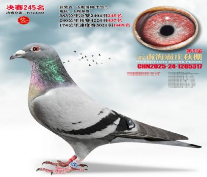 ����ׯ����245��