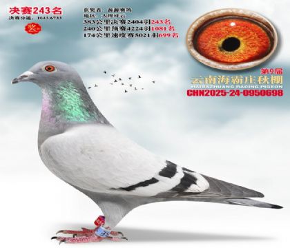 ����ׯ����243��