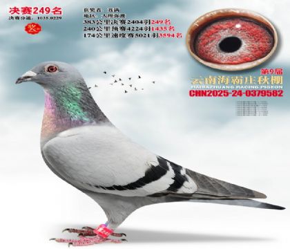 ����ׯ����249��