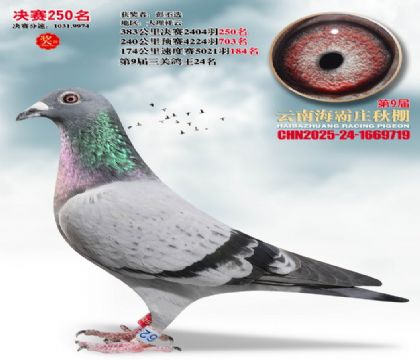 ����ׯ����250��