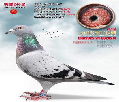 ����ׯ����246��