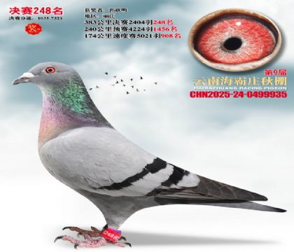 ����ׯ����248��