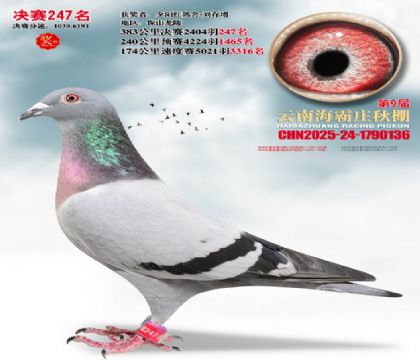 ����ׯ����247��