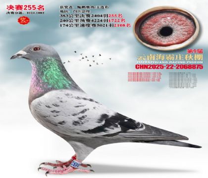 ����ׯ����255��