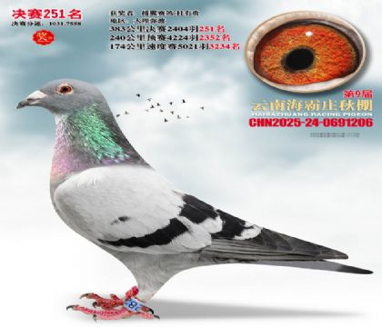 ����ׯ����251��