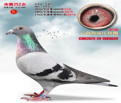 ����ׯ����252��