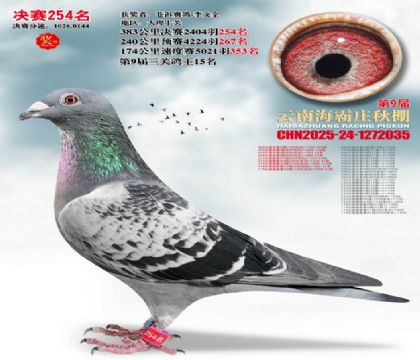 ����ׯ����254��