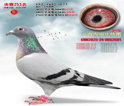 ����ׯ����253��