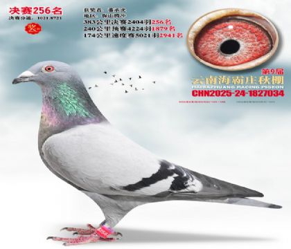 ����ׯ����256��