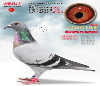 ����ׯ����261��