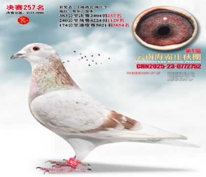 ����ׯ����257��