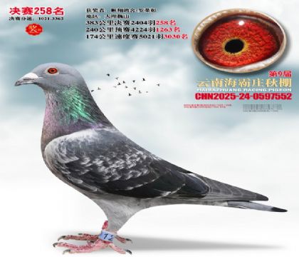 ����ׯ����258��