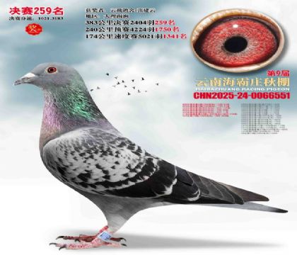 ����ׯ����259��