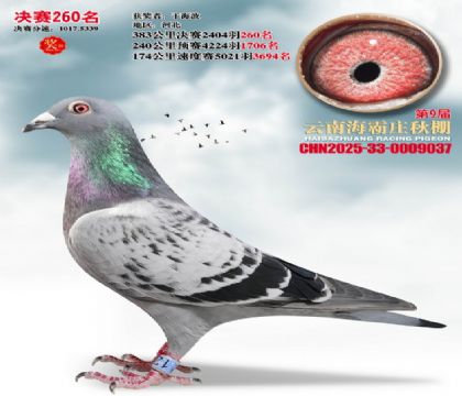 ����ׯ����260��