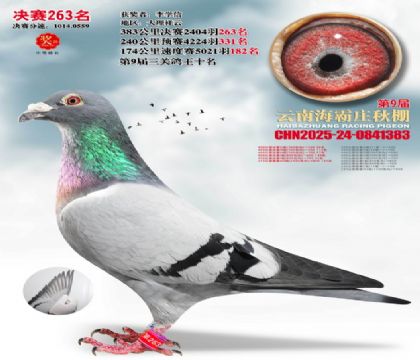 ����ׯ����263��