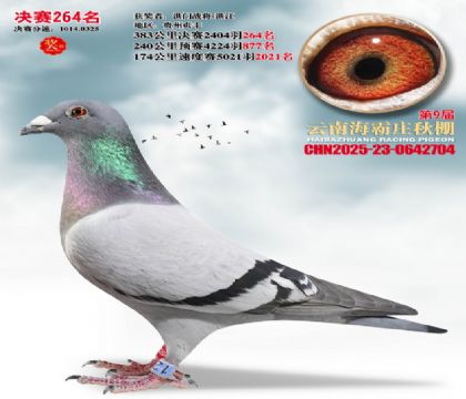 ����ׯ����264��