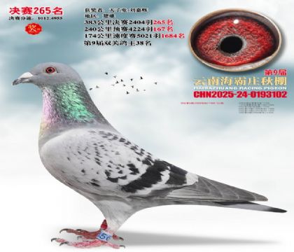 ����ׯ����265��