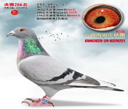 ����ׯ����266��