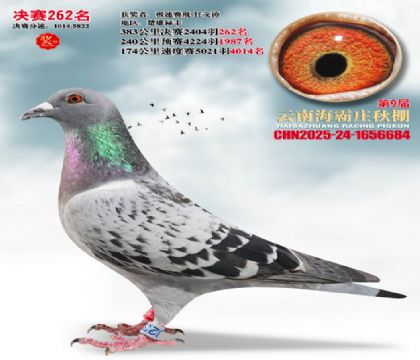 ����ׯ����262��