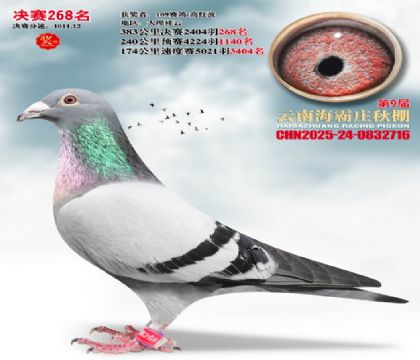 ����ׯ����268��