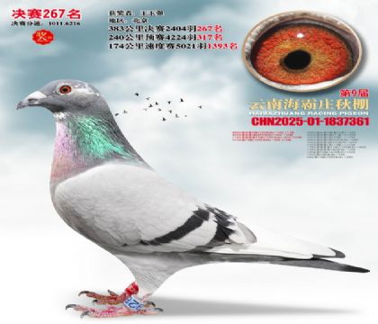 ����ׯ����267��