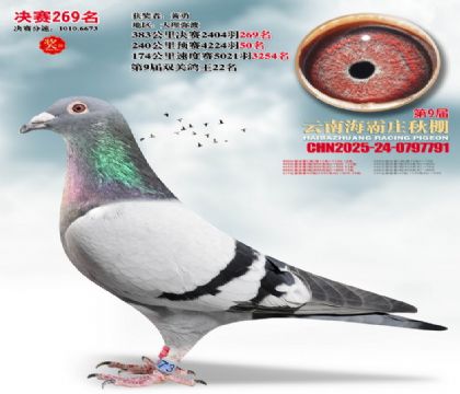 ����ׯ����269��