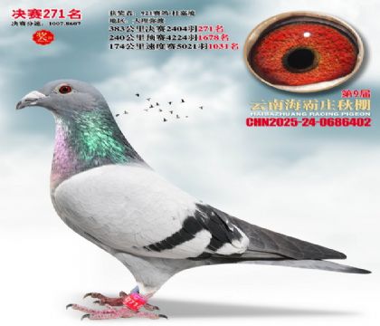 ����ׯ����271��