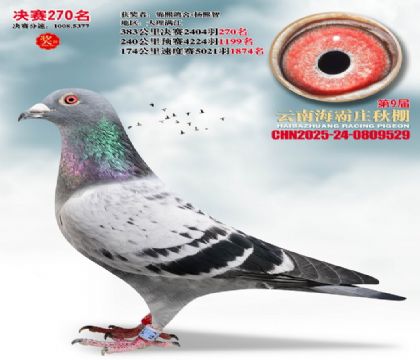 ����ׯ����270��