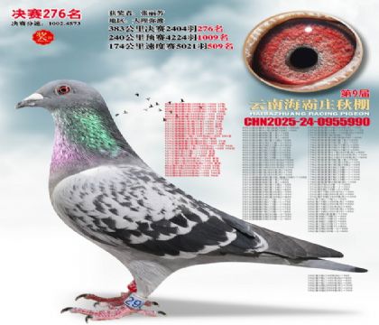 ����ׯ����276��