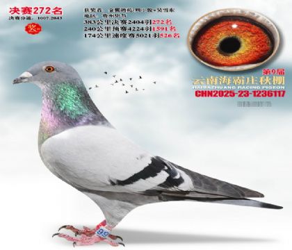 ����ׯ����272��