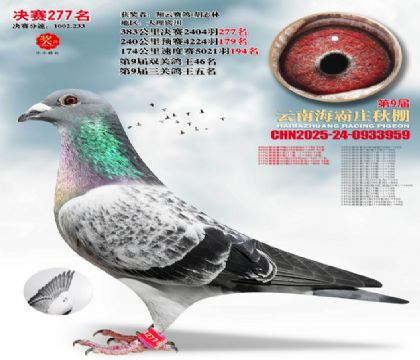 ����ׯ����277��