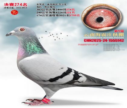 ����ׯ����274��