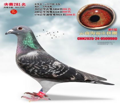 ����ׯ����281��