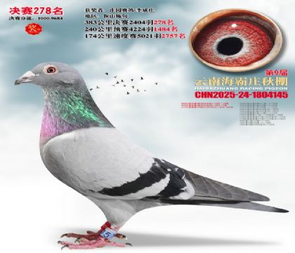 ����ׯ����278��