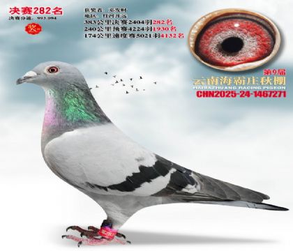 ����ׯ����282��